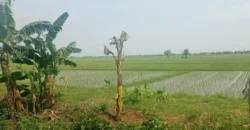 Land Dijual di Bekasi