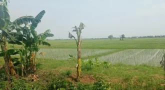 Land Dijual di Bekasi