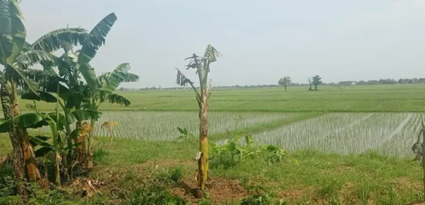 Land Dijual di Bekasi